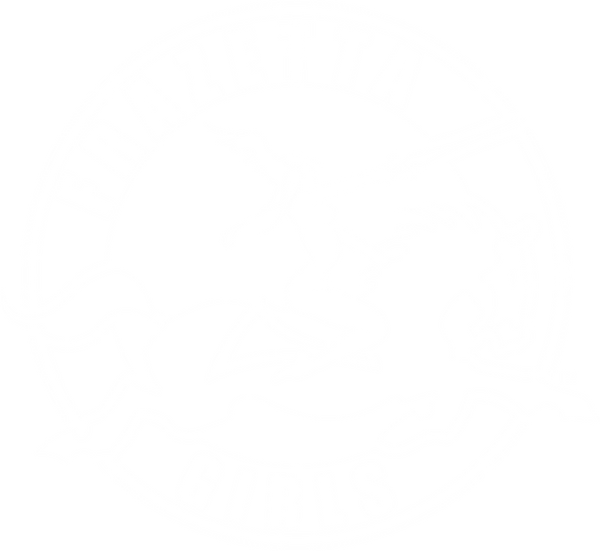Frazetta Girls logo
