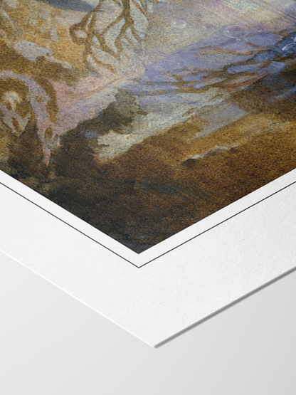 Count Dracula Print